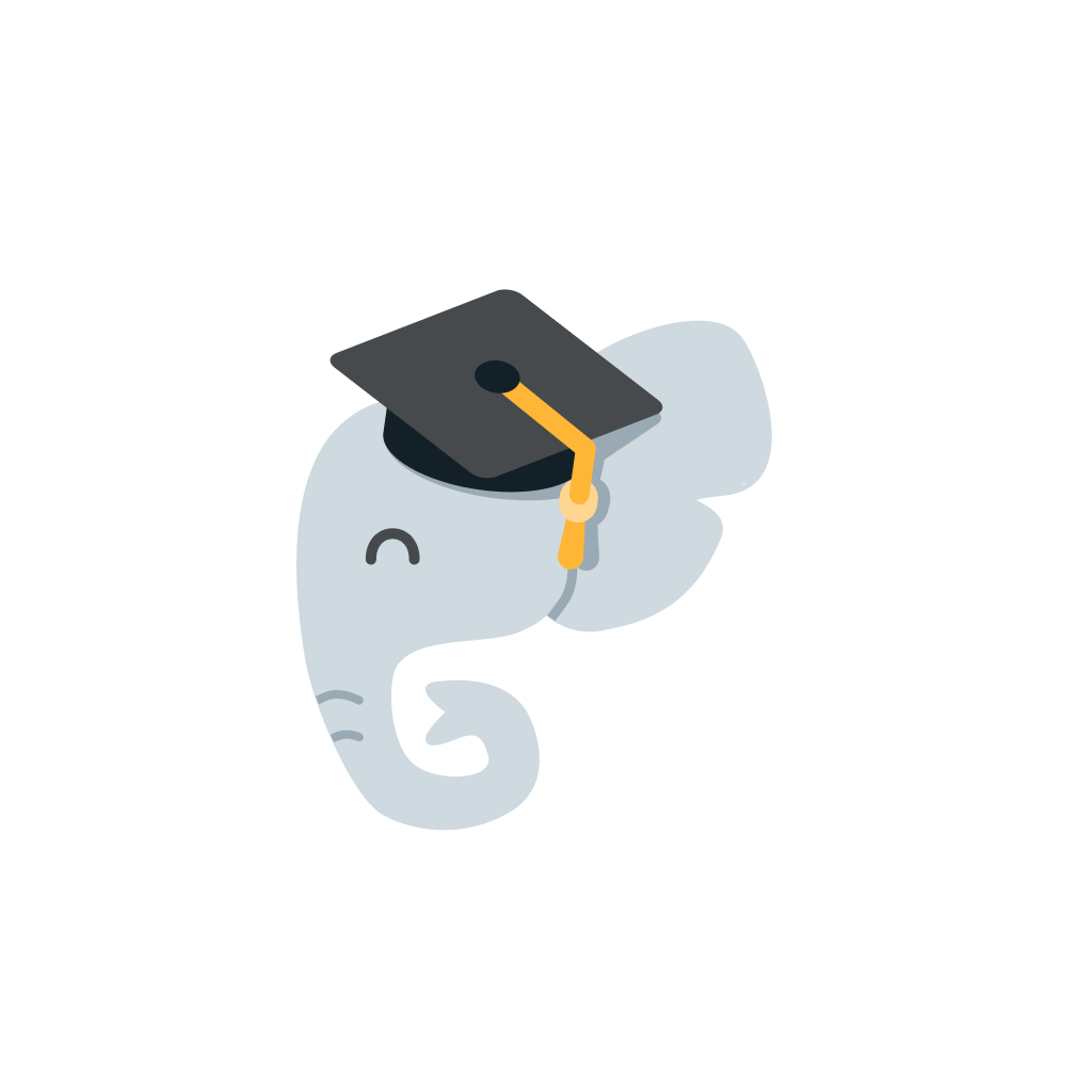 Selbstlernen.app Icon